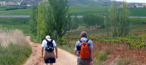 Casa rural peregrinos Navarra Casa rural cerca Estella