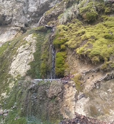 Fuente de la Venta Zunbeltz